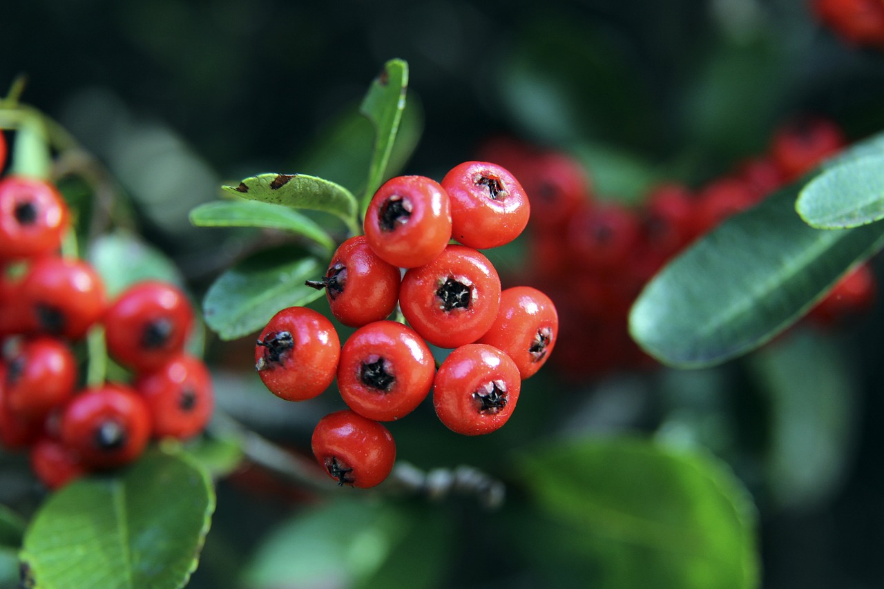 正常发挥 正常发挥