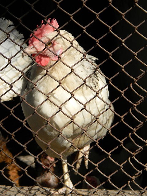 联赛的一次 联赛的一次