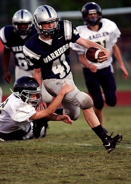 体育中的种 体育中的种