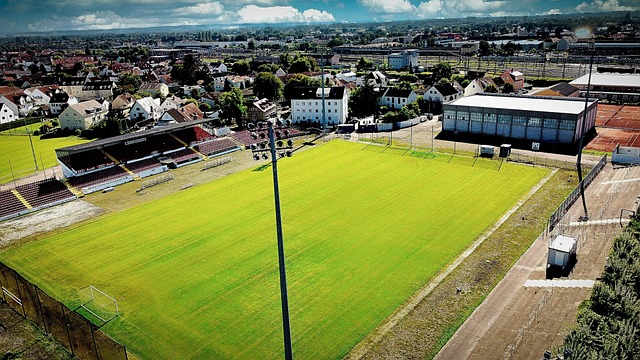 巴萨的良好 巴萨的良好