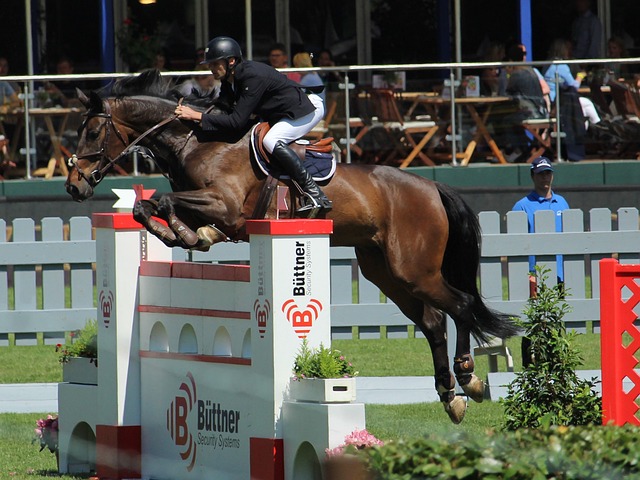 围内女子足 围内女子足