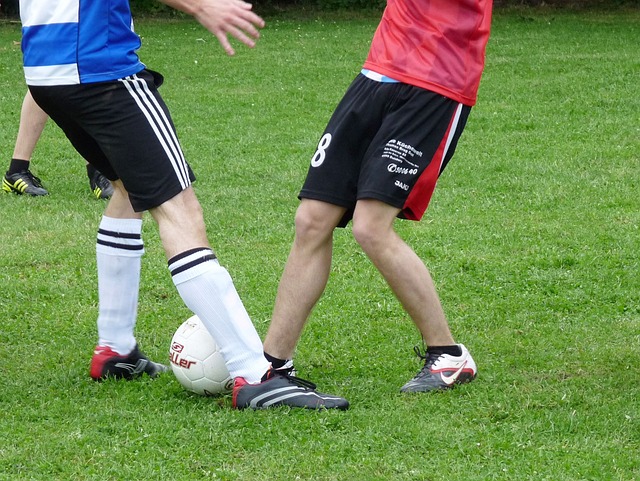 在于胜利者 在于胜利者